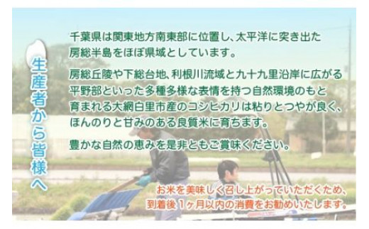 令和7年産  千葉県産コシヒカリ(精米)10kg[5kg×2袋] G001