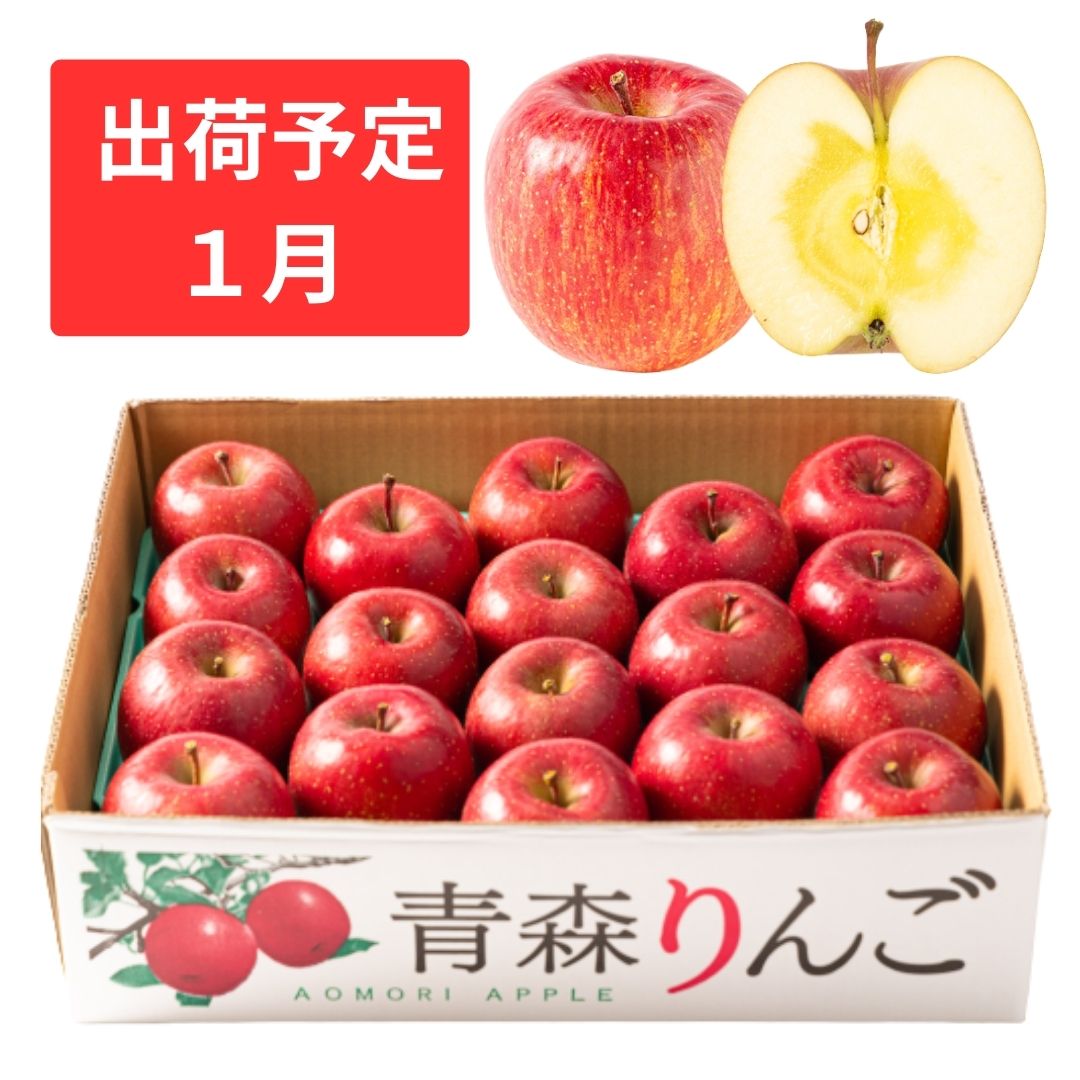 【ふるさと納税】1月 特A 蜜入りサンふじ 約5kg　糖度13度以上 【青森りんご・マルコウアップル】 果物類 林檎 リンゴ 　お届け：2026年1月6日～2026年1月30日