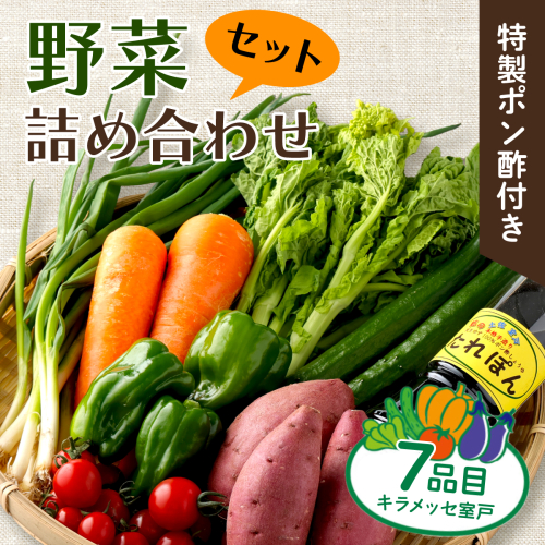 野菜 7種類 詰め合わせセット(特製ポン酢付)  新鮮 旬 春 おまかせ 5000円 故郷納税 送料無料