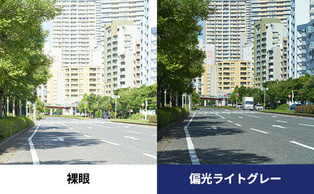 跳ね上げ式/「偏光」前掛けサングラス　天地深めの一般フレーム用　スタンダードタイプ　「BV-21」　レンズカラー：(5)偏光ライトグレー