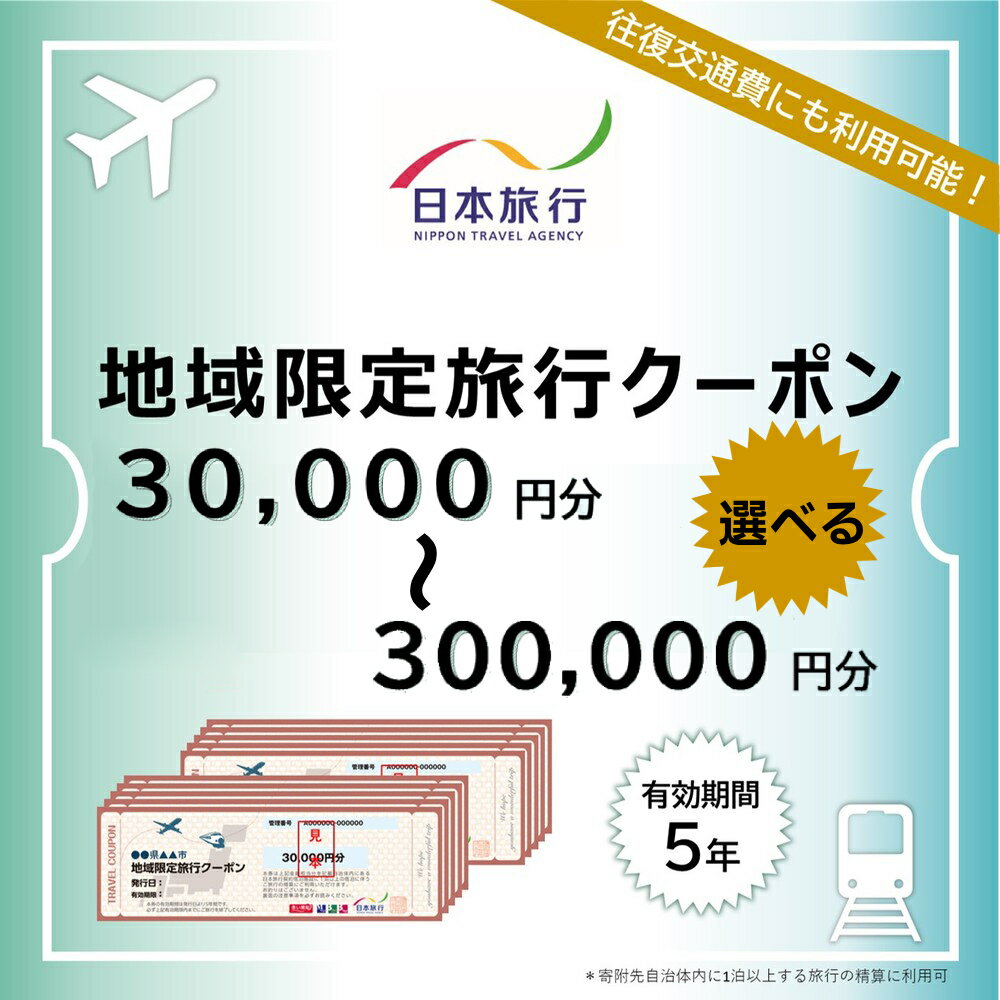 【ふるさと納税】北海道 紋別市 日本旅行 地域限定旅行クーポン 選べる 旅行券 観光地 ガリンコ号 アザラシ 流氷 カニの爪 オホーツク海 旅券 航空券 宿泊券 パックツアー