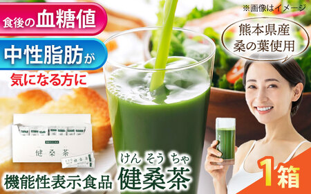 機能性表示食品 健桑茶 1箱 お茶[AYBM004]