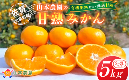 L-13 山本農園の甘熟みかん(S～2Lサイズ)5kg　みかん ミカン 蜜柑 温州みかん 完熟みかん 甘熟 柑橘 有機栽培 国産 佐賀県産 太良町 こだわり 贈答品 産地直送 詰め合わせ
