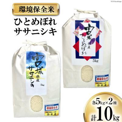 ふるさと納税 気仙沼市 米 宮城県産 ササニシキ ひとめぼれ 環境保全米 計10kg 20564939
