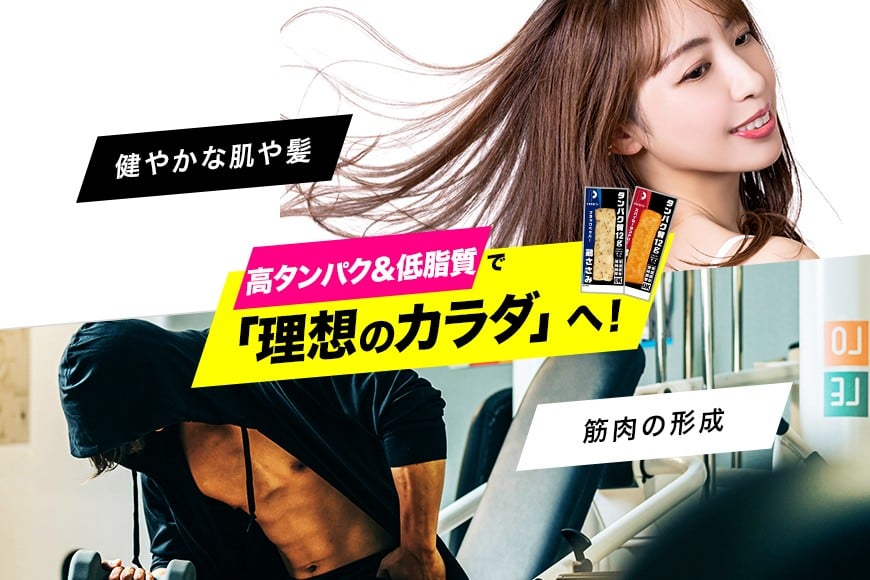 サラダチキン プロテインバー プロテイン 20本 スパイシータンドリー ささみ 肉 鶏肉 チキン タンパク質 高たんぱく 低脂質 ダイエット 筋肉 食品 持ち運び おやつ 置き換え PROFIT SA