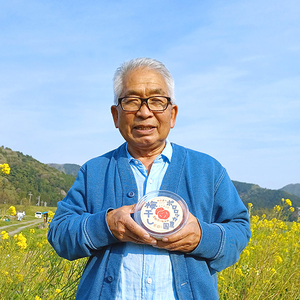 無添加 梅干し 減塩 小分け 1kg 1キロ 舞鶴産 うめぼし お取り寄せ 漬物 南高梅 昔ながら 田舎 梅干 田舎梅干 昔ながらの梅干し 減塩梅干 減塩8％梅干 南高梅梅干 小分け梅干