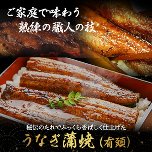 うなぎ蒲焼 【有頭】特大240g（2本入り） 冷凍 たれ付き 国産鰻 土用の丑の日 うなぎ 蒲焼き Esu-205
