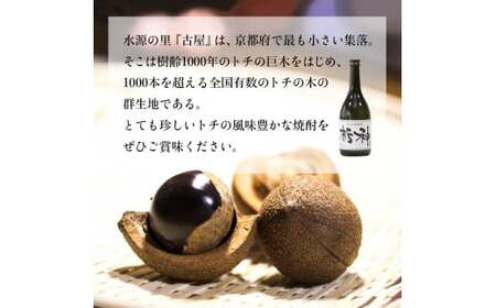 【限定生産】とちの実を使った焼酎「栃神」720ml×2本 / 焼酎 贈答 お土産 綾部市 / 有限会社佐々木酒店［BSEC010］