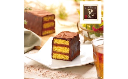 生チョコ チョコ チョコレート カカオ ベルギー産チョコ スイーツ 有名 ホームメイド湘南ショコラ ケーキ 蜂蜜 マーガリン バター 湘南 冷凍 くちどけ 濃厚贈り物 団らん みづほ野 神奈川県 平塚市