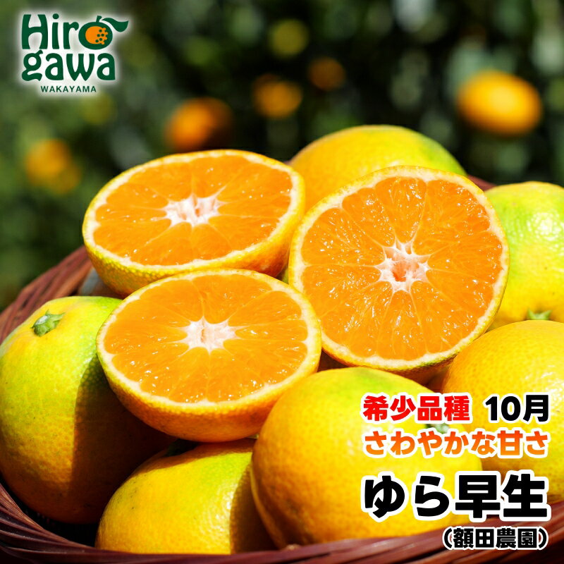 【ふるさと納税】 由良早生 みかん 家庭用 / ゆら早生 温州みかん 極早生 甘い 家庭用 和歌山 柑橘 5kg 10kg ※10月上旬～10月下旬順次発送 ※北海道・沖縄・離島への配送不可 //goku
