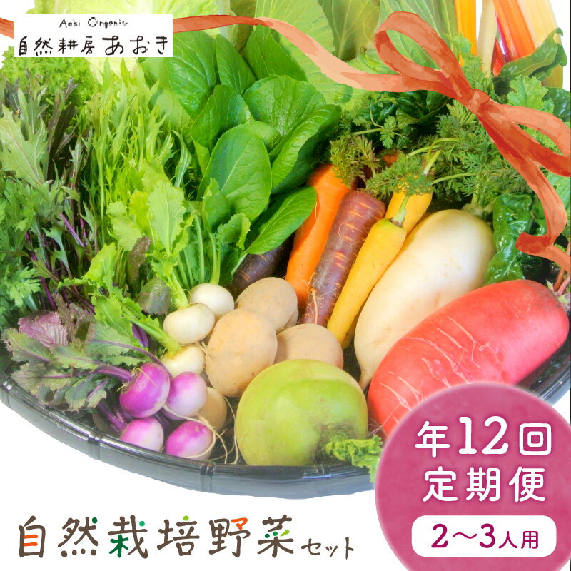 【ふるさと納税】自然栽培野菜セット（年12回）2~3人用　定期便 12ヵ月 ふるさと納税 野菜 自然栽培 季節 定期便 12回 旬野菜 5〜7種 2〜3人用 詰め合わせ 百貨店 ホテル 栽培期間中 農薬 京都 産地直送 やさい 野菜セット おまかせ おすすめ 美味しい