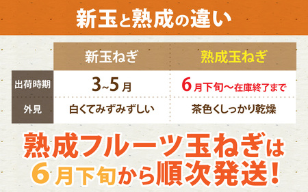 【 6月下旬より順次発送予定 】熟成フルーツ玉ねぎ4kg【サイズ色々】