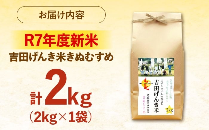 白米 おこめ げんき米 新米 単品 きぬむすめ ごはん お弁当 国産 おいしい 