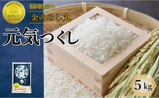 
                  福岡県産 米 金のめし丸 元気つくし 5kg 令和7年産 | 精米 お米 こめ 白米 ライス ブランド米
                
