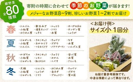 日時指定可能！旬のお野菜セット（サイズ大）【全２回定期便】