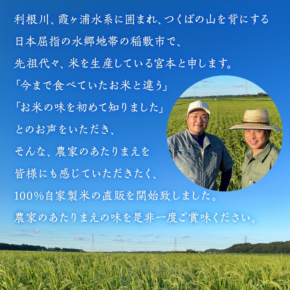 新米 【令和7年産】茨城県稲敷市産 宮本さん家のこしひかり 20kg(10kg×2袋)｜米 おこめ コシヒカリ 精米 農家直送 直送 茨城県 [1654]