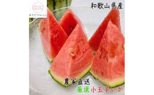 ［先行予約］厳選 小玉すいか Ｍサイズ ／2玉入り［農家直送］［先行予約］［和歌山県産］［MS127］