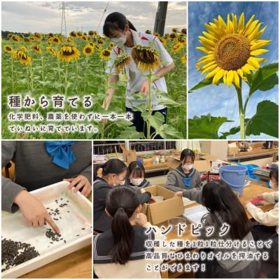 ふるさと納税 取手市 ひまわリップ　保湿リップバーム |  | 03