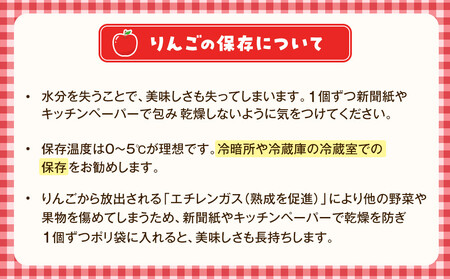 【松崎果樹園】「秋映」約5kg（14～16玉）【旬のフルーツ、果物、旬のりんご、新鮮リンゴ、秋映りんご】