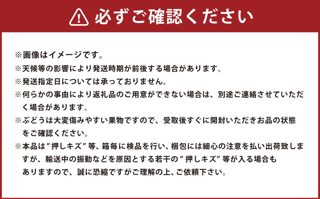 岡山県産 紫苑 2房（約1.2kg）