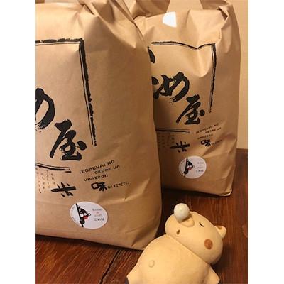 ふるさと納税 玉名市 【毎月定期便】熊本県玉名市産　森のくまさん 10kg(5kg×2袋)全6回