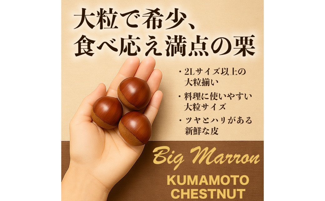 生栗 クリ 大粒2L以上 約3kg