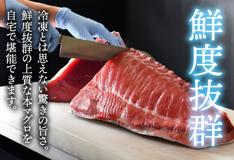 【定期便】【3ヶ月連続お届け】 刺身用！本マグロ堪能セット（柵どり）900g × 3回【最新の冷凍技術】