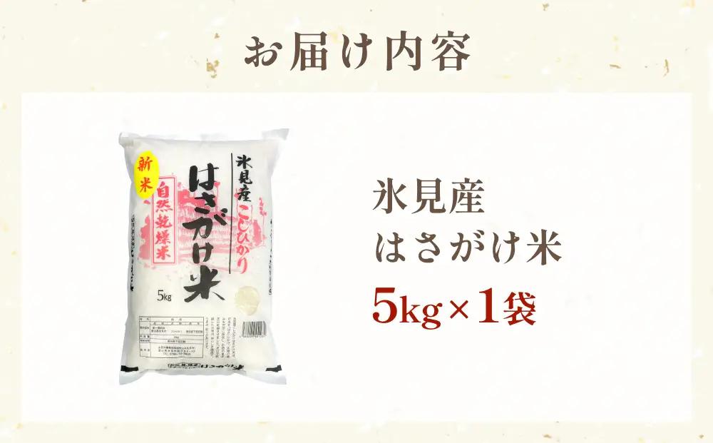 令和７年産 はさがけ米 精米5kg 富山県 氷見市 米 コシヒカリ こしひかり