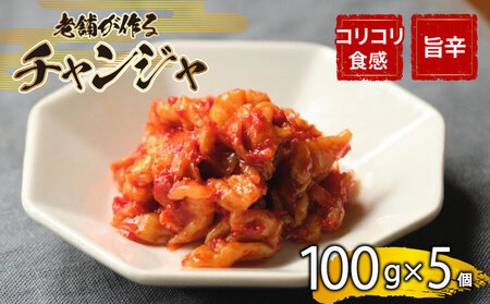 チャンジャ 500g 手作り キムチ キムチ IQ
