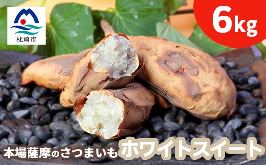 
                  鹿児島さつまいも ＜ホワイトスイート＞6kg　2026年10月上旬より発送 A8-93_ サツマイモ 人気品種 鹿児島県 さつま芋 焼き芋 スイーツ 【1167096】
                