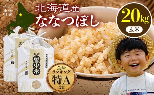 令和8年産 特Aランク米 ななつぼし 玄米 20kg（10kg×2袋）【2月発送】 雪冷気 籾貯蔵 雪中米 北海道 nr-2168