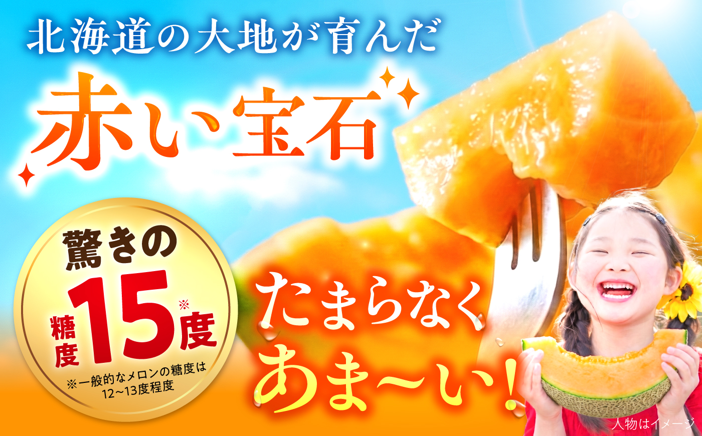 【2026年7月～順次発送】 赤肉 メロン ルピアレッド 2玉 | 赤肉メロン めろん 先行予約 北海道 メロン赤肉 | JAみねのぶ [BOAG007]