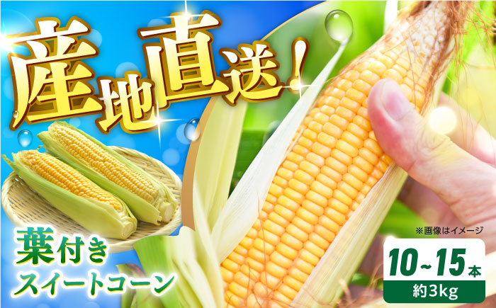 【先行予約】【７月〜順次発送】葉付きスイートコーン 計約3kg 山都町産 とうもろこし 熊本県産 夏野菜 スイートコーン スィートコーン【大浜農園】 [YCE003]