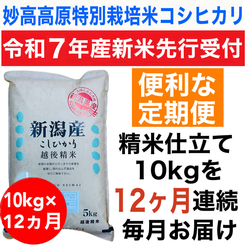 【令和7年産新米・定期便先行予約】新潟県妙高高原減農薬特別栽培米コシヒカリ 10kg（5kg×2袋）全12回