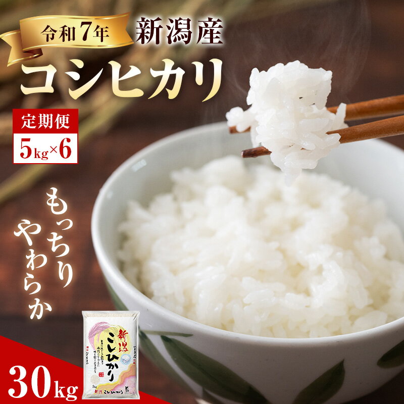 【ふるさと納税】R7年産米【定期便】新潟産コシヒカリ5kg×6回　お届け：2025年10月中旬以降発送予定
