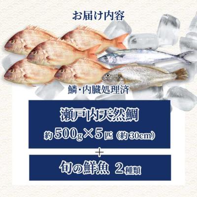 ふるさと納税 三原市 瀬戸内産 天然鯛 約2.5kg(500g×5匹/鱗・内臓処理)・鮮魚2種 [154-007] |  | 03