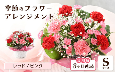 定期便 ≪3ヶ月連続お届け≫ 選べるカラー 季節のフラワーアレンジメント S (レッド・ピンク) 【お花 フラワー アレジメント 花束 ギフト 生花 プレゼント 花束 花 記念日 敬老の日 お祝い】 [B-20702_01]