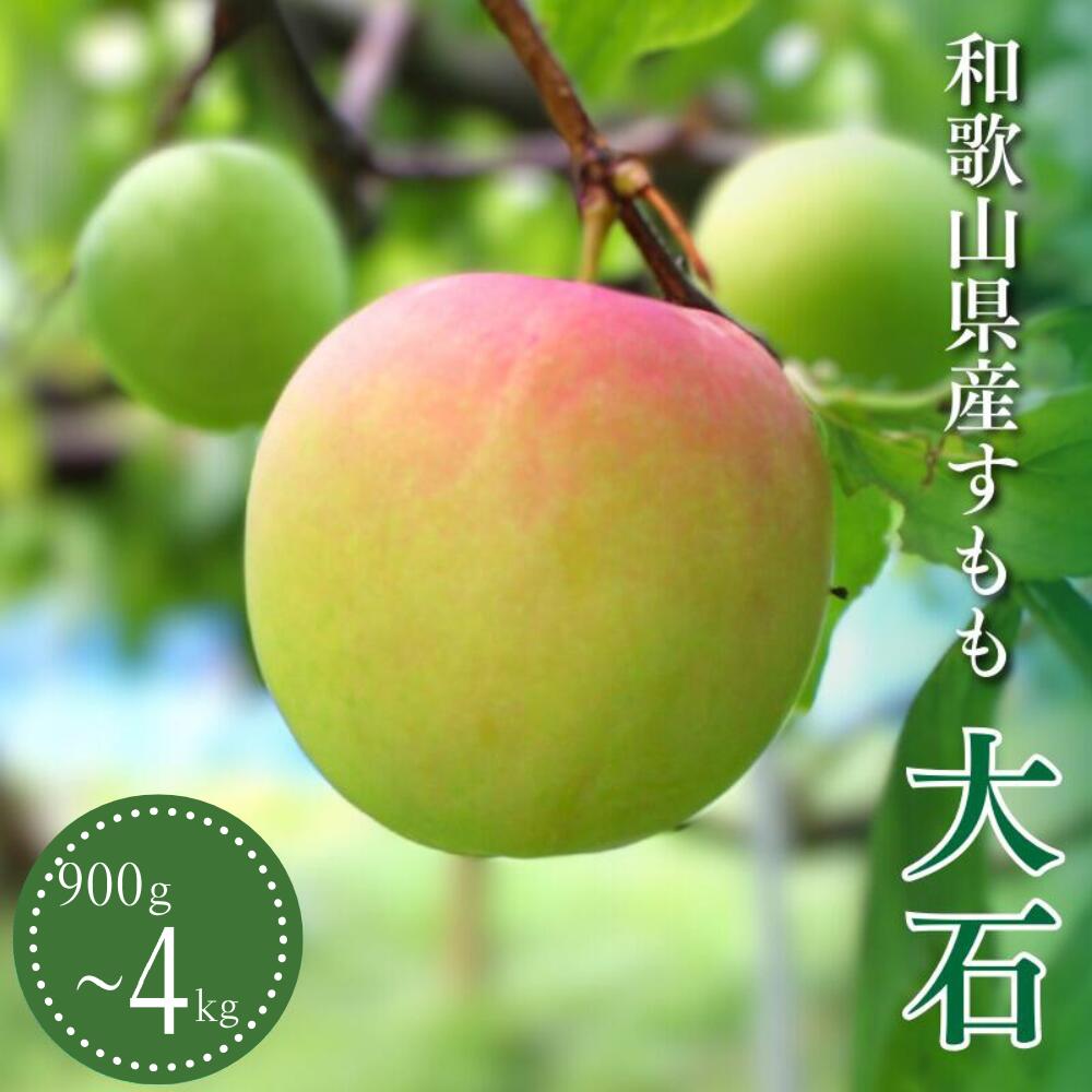 【ふるさと納税】 先行予約 すもも（大石） 【選べる容量】 900g 1.8kg 4kg ※2025年5月下旬～6月中旬頃に順次発送予定【期間限定・2025/5/31まで】 / スモモ お取り寄せ 期間限定 夏 フルーツ 果物 和歌山県 田辺市