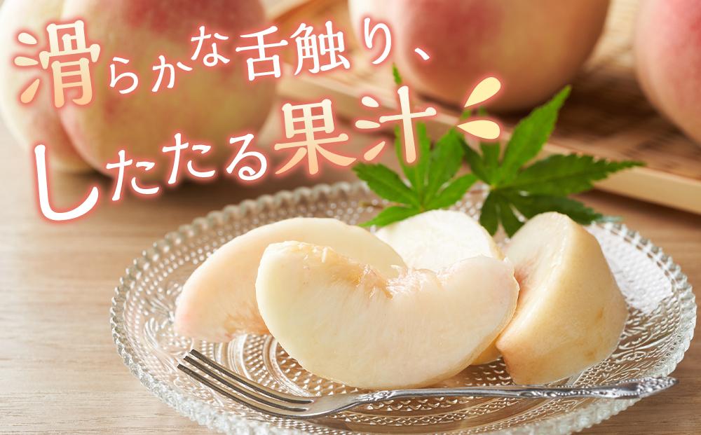 桃 2024年 先行予約 清水 白桃 5～6玉入 約1.5kg 岡山市一宮地区産 もも モモ フルーツ 果物 ギフト[No.5220-0287]