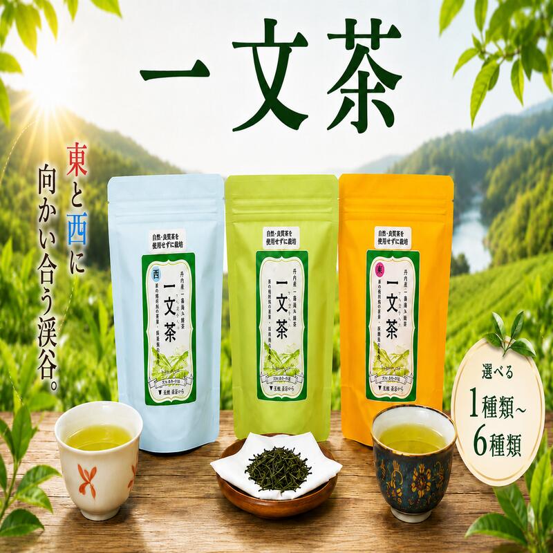 【ふるさと納税】 《 TVで話題 》 一文茶 東 西 ブレンド 飲み比べ 1種 ~ 3種 新茶 お茶 茶葉 緑茶 煎茶 tea 抹茶ラテ 安心 安全 飲料 健康 美容 血圧 国産 茶漬け 炊き込み ご飯 スイーツ 和菓子 お中元 土産 ギフト 徳島 三好 井川町 北地の丘 とく6 NHK