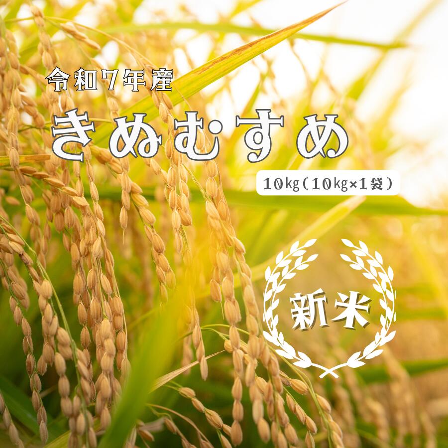 【ふるさと納税】令和7年産　米 しまね川本 きぬむすめ 10kg 島根県 川本町産 老舗米屋 厳選 藤屋