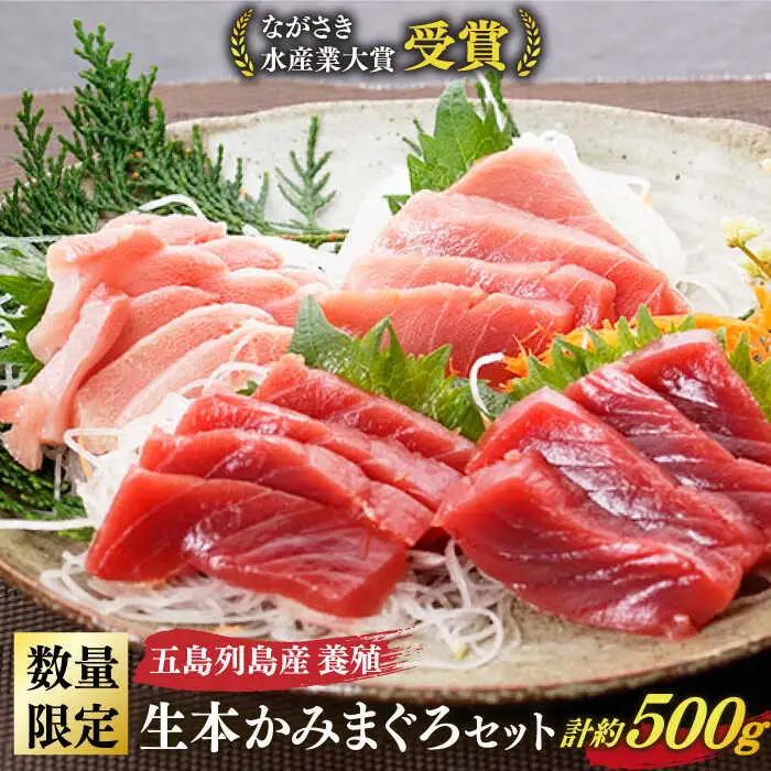 五島列島産養殖生本かみマグロ 赤身 中トロ 大トロ 計約500g [RBP004] 本マグロ 本まぐろ 本マグロ 本まぐろ 本マグロ 本まぐろ 本マグロ 本まぐろ 本マグロ 本まぐろ九州 長崎