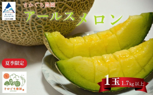 【先行予約】アールスメロン 1玉（1.7kg以上） 化粧箱入り先行予約 令和8年8月上旬より順次発送 マスクメロン 果物 フルーツ プレゼント 贈答用