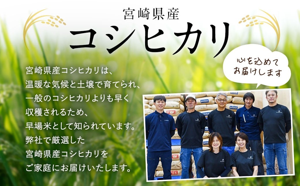 【無洗米】 ＜チャック付＞ 新米 国産 令和8年産 こしひかり コシヒカリ 10kg 宮崎県産 お米 白米 おすすめ 簡単 ご飯 弁当 精米 おにぎり