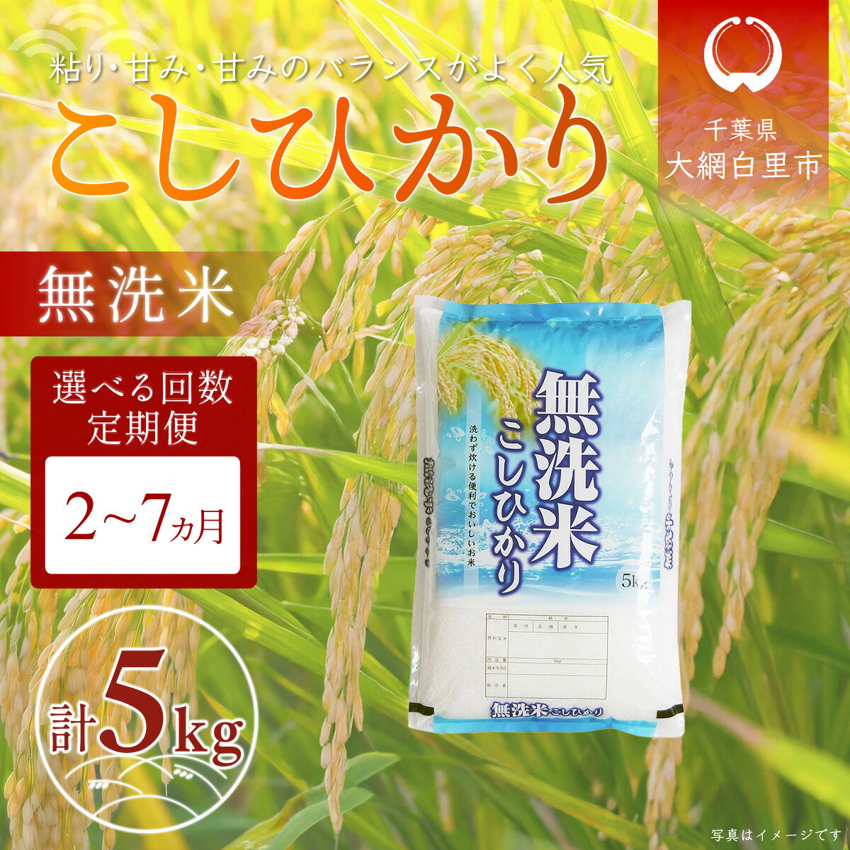 【ふるさと納税】 令和7年産 千葉県産「コシヒカリ」無洗米 5kg 選べる配送回数 2回 / 3回 / 4回 / 5回 / 6回 / 7回 ふるさと納税 米 無洗米 コシヒカリ こしひかり 千葉県 大網白里市