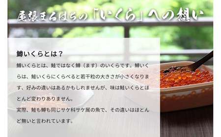 いくら 醤油漬け 600g(150g×4P) 鱒の卵 冷凍 尾張まるはち