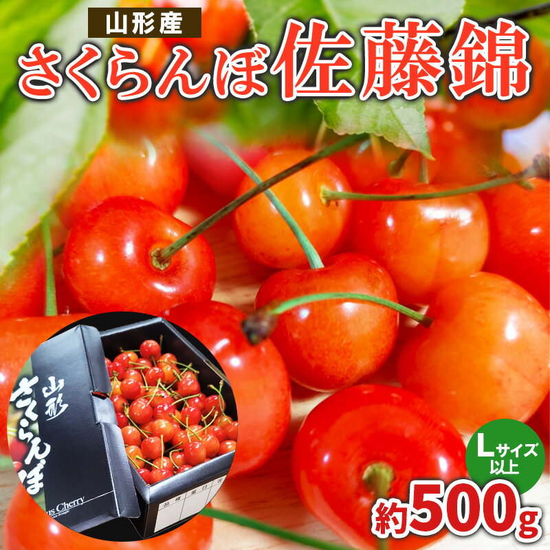 【ふるさと納税】さくらんぼ 佐藤錦 L以上 約500g【令和8年産先行予約】FS25-058
