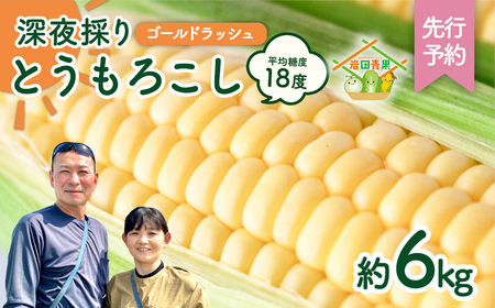 とうもろこし ゴールドラッシュ 6kg 茨城県産  トウモロコシ 深夜採り 朝出荷