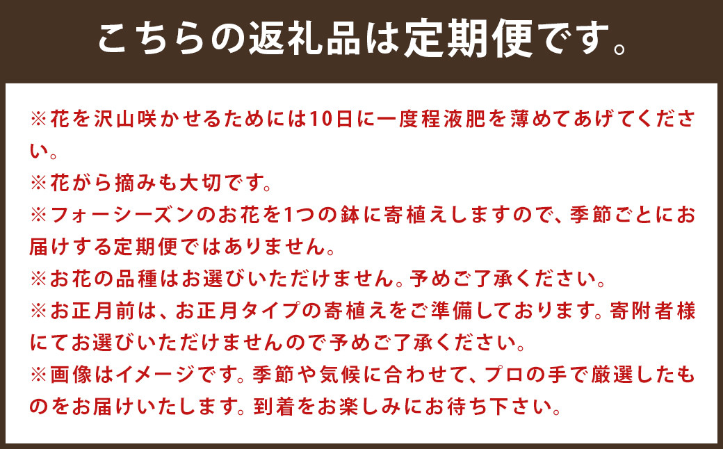 【定期便6回】フォーシーズン お花の寄せ植え