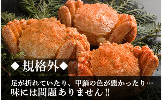 規格外！毛がに2?セット(1尾約350g～499g)【斉藤水産】 　